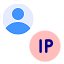 Hostname to IP